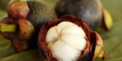 100 gramıyla mucizeler yaratıyor!