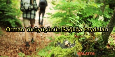 Orman Yürüyüşünün Sağlığımıza Faydaları