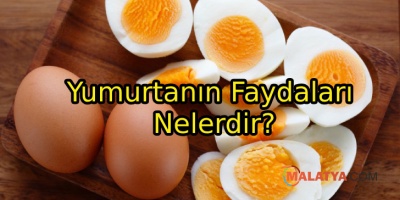 Yumurtanın Faydaları Nelerdir?