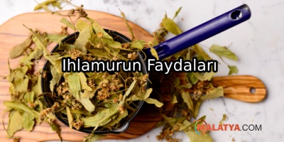 Ihlamurun Mucizevi Faydaları