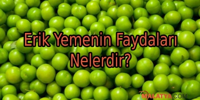 Erik Yemenin Faydaları Nelerdir?