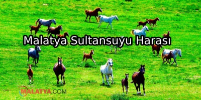 Malatya Sultansuyu Harası