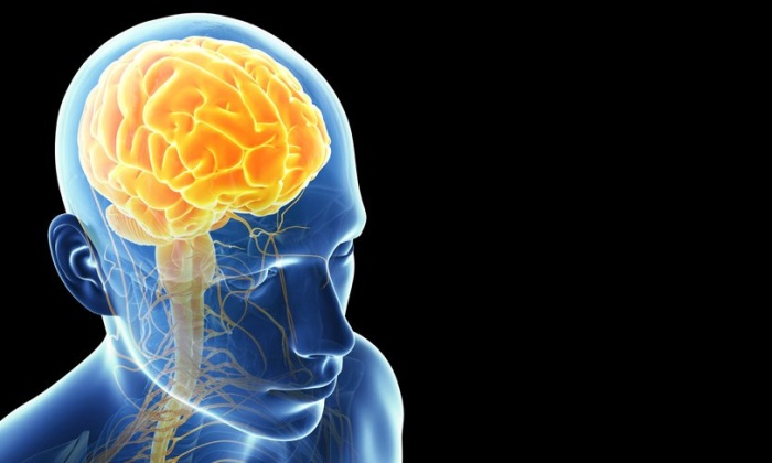 Beyin Kendini Yenileyebilir mi ?