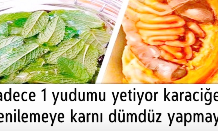 Yalnızca 1 yudumu yetiyor karaciğeri yenilemeye karnı dümdüz yapmaya!