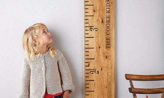 Boy Uzamasına Yardımcı Besinler