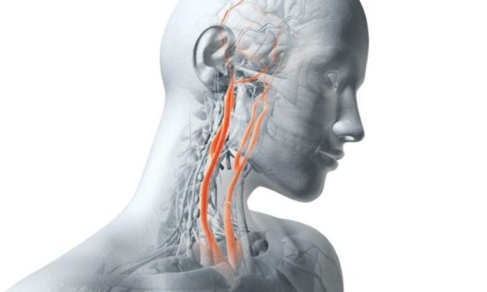 Bu 5'li Hayat Kurtarıyor