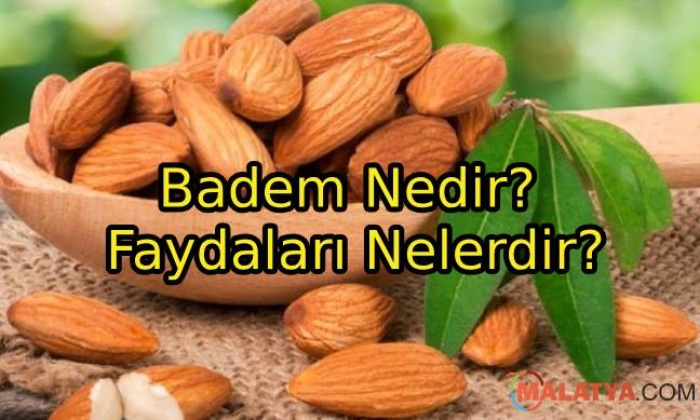 Badem Nedir? Faydaları Nelerdir?