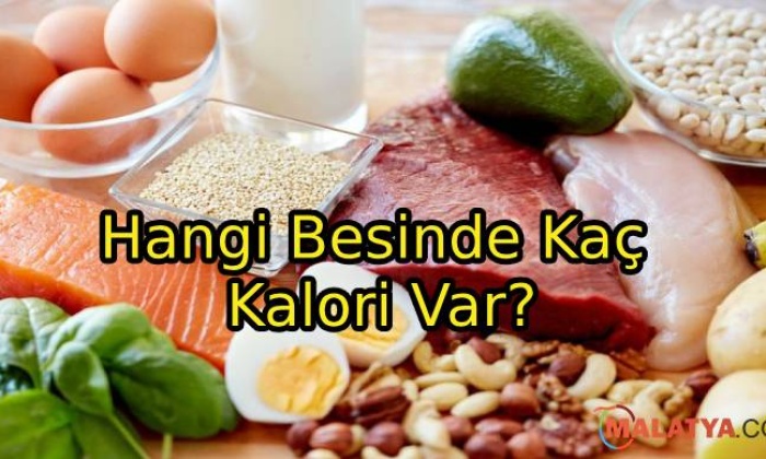 Hangi Besinde Kaç Kalori Var