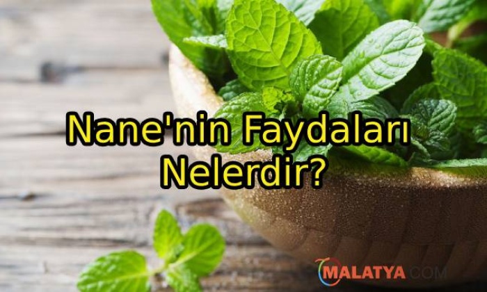 Nane'nin Faydaları Nelerdir?