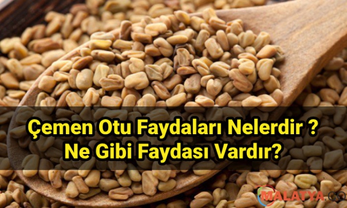 Çemen Otu Tohumunun Faydaları