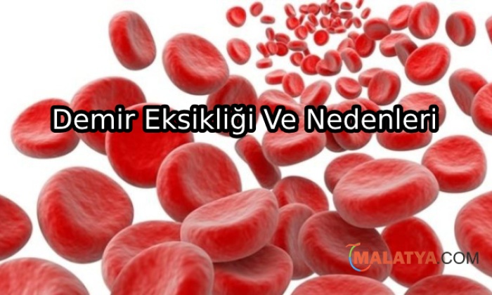 Demir Eksikliğinin Belirtileri Ve Nedenleri
