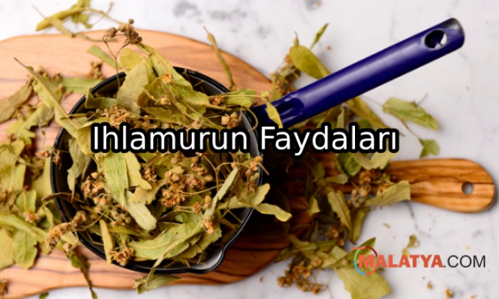 Ihlamurun Mucizevi Faydaları