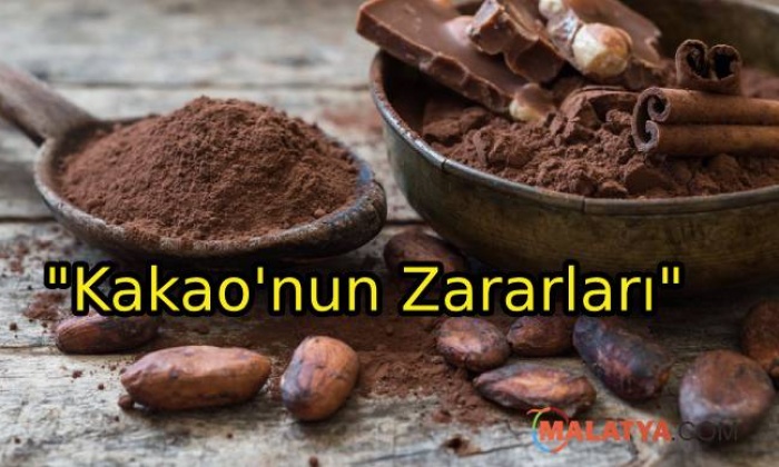 Kakaonun İnanılmaz Faydası