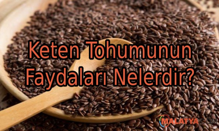 Keten Tohumunun İnsan Sağlığına Faydaları Nelerdir?
