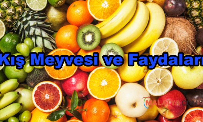 Kış Meyvesi ve Faydaları
