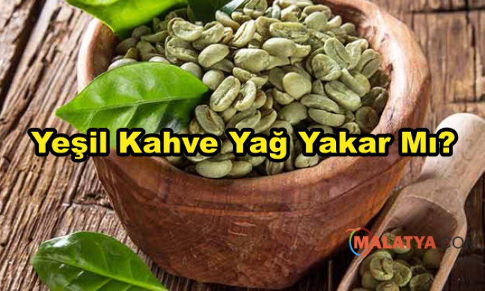 Yeşil Kahve Yağ Yakar Mı?