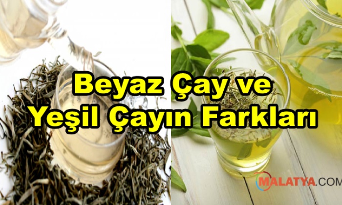 Beyaz Çay ve Yeşil Çayın Farkları
