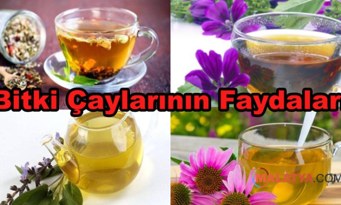 Bitki Çaylarının Faydaları