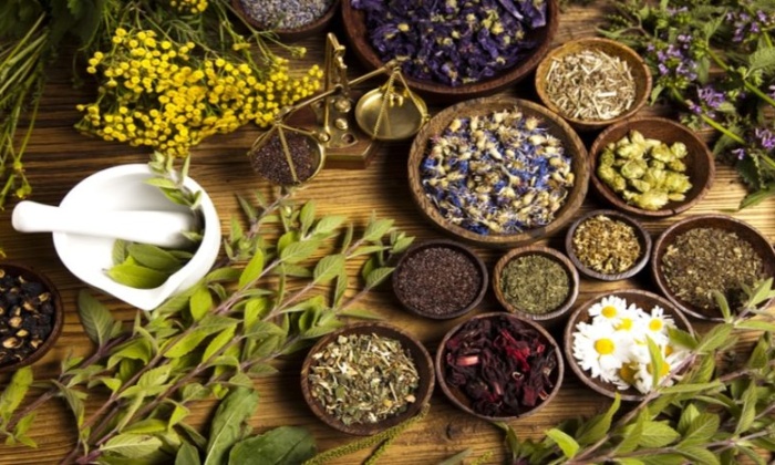 Bronşite İyi Gelen Doğal Çözüm Yöntemleri