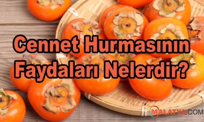 Cennet Hurmasının Faydaları Nelerdir?