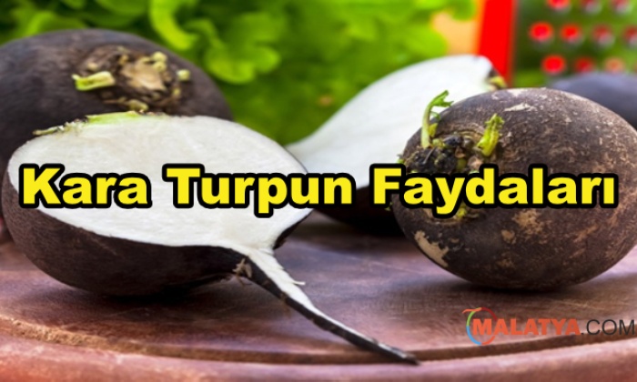 Kara Turpun Faydaları