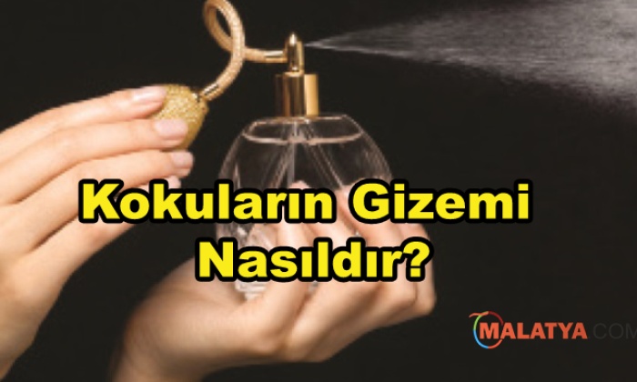 Kokuların Gizemi Nasıldır?