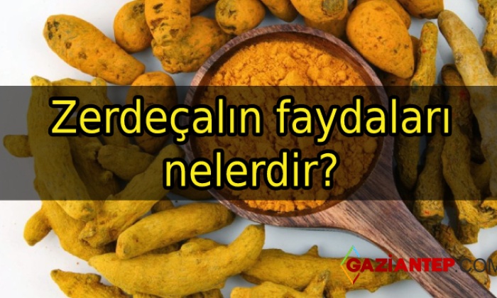 Zerdeçalın faydaları nelerdir?