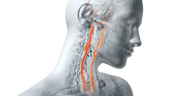 Bu 5'li Hayat Kurtarıyor