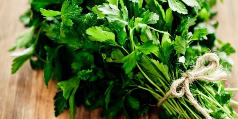 Öyle Bir Faydası Var ki