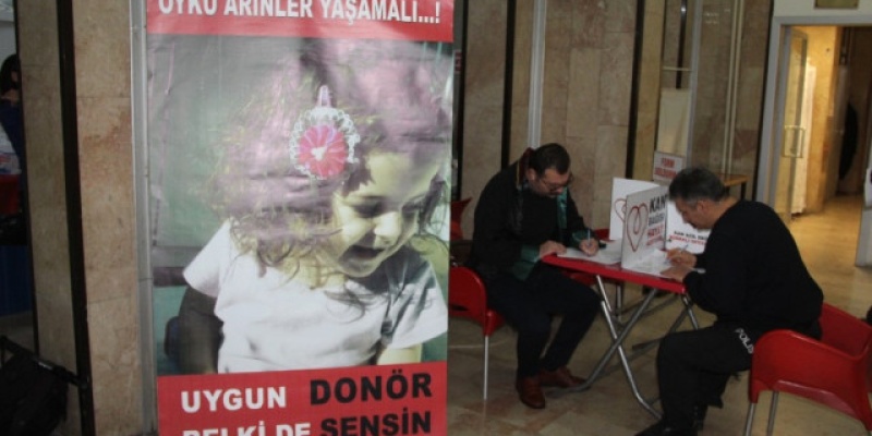 Herşey Öykü Arin Yazıcı İçin