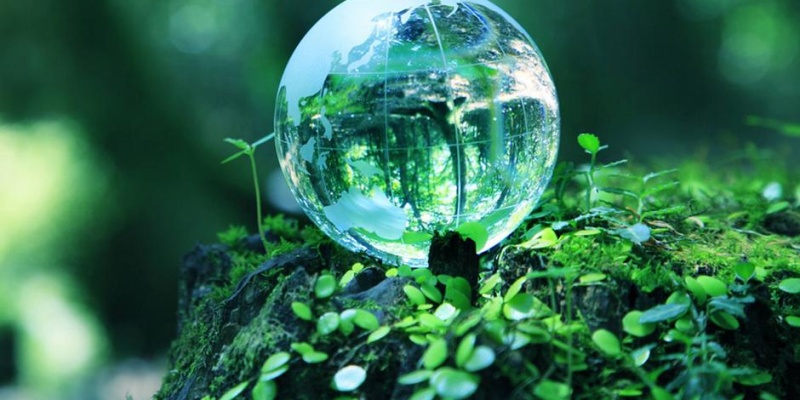 İklim korumada en önemli adımlar