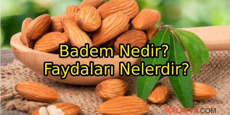 Badem Nedir? Faydaları Nelerdir?