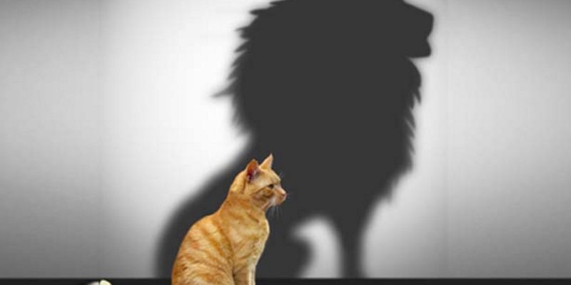 Özgüven Eksikliği