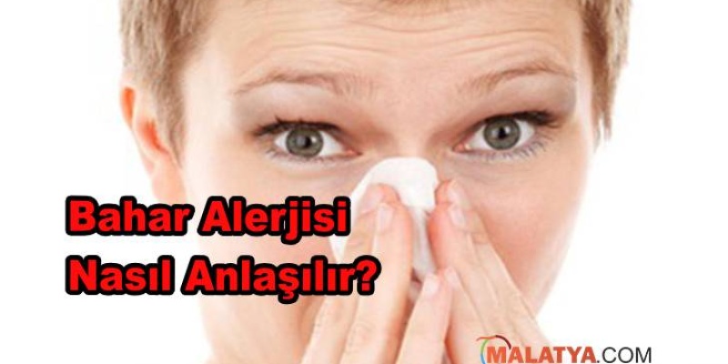 Bahar Alerjisi Nasıl Anlaşılır?