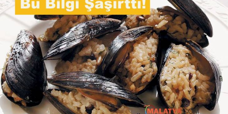 Midye Dolmanın Faydaları