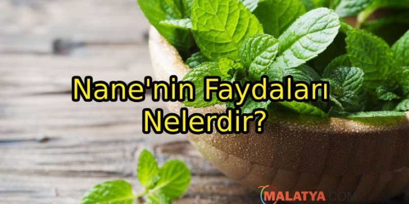 Nane'nin Faydaları Nelerdir?
