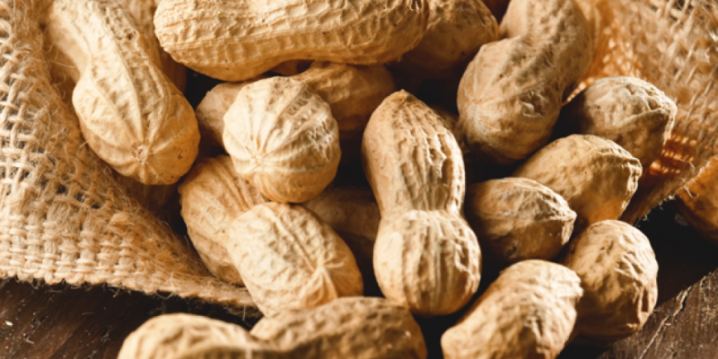 Yer fıstığının faydaları nedir?