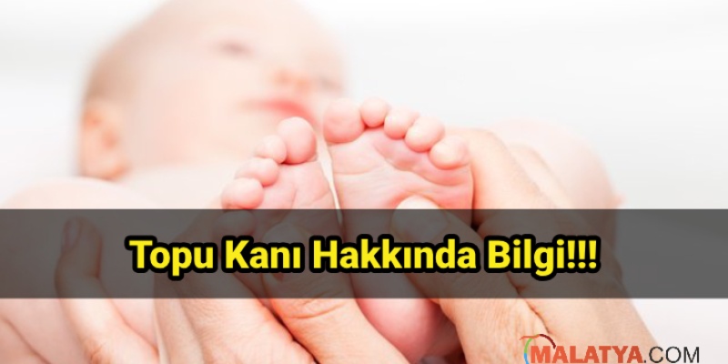 Bebeklerde Topuk Kanı Testi Hakkında Bilgi