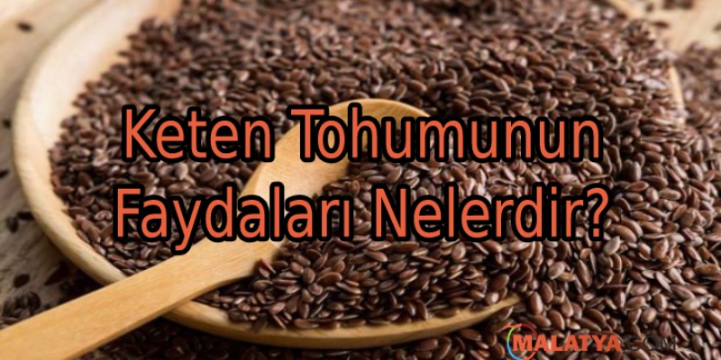 Keten Tohumunun İnsan Sağlığına Faydaları Nelerdir?