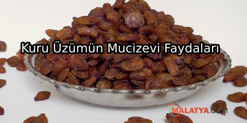 Kuru Üzümün Faydaları