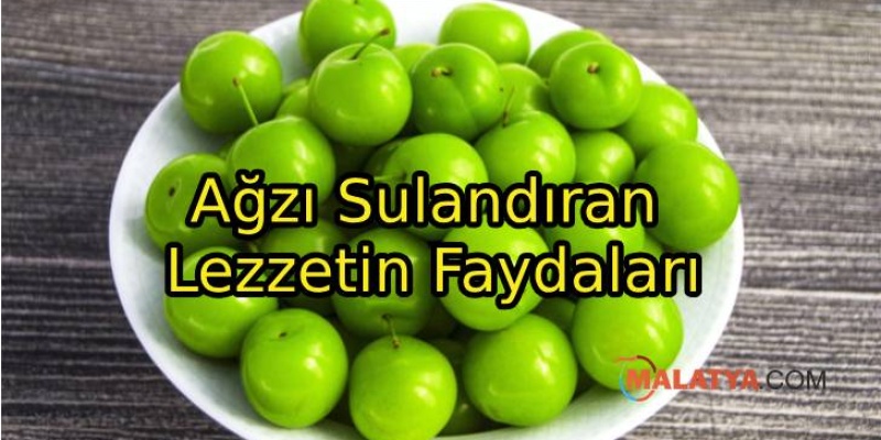 Eriğin Faydaları Nelerdir?