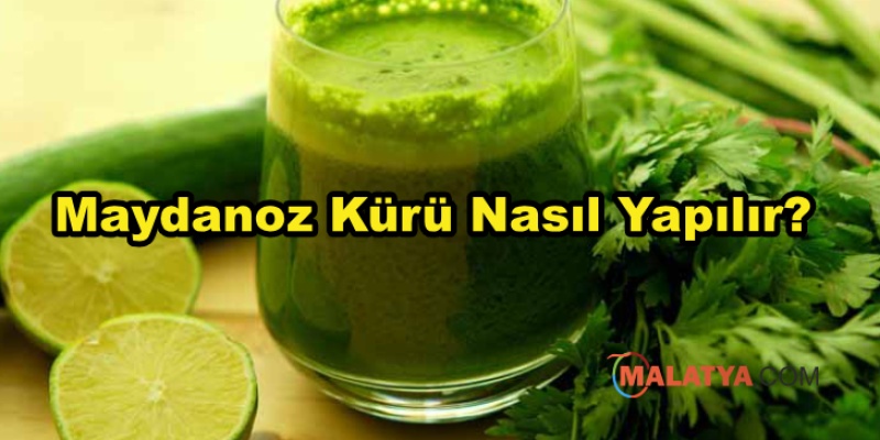 Maydanoz Kürü Nasıl Yapılır?