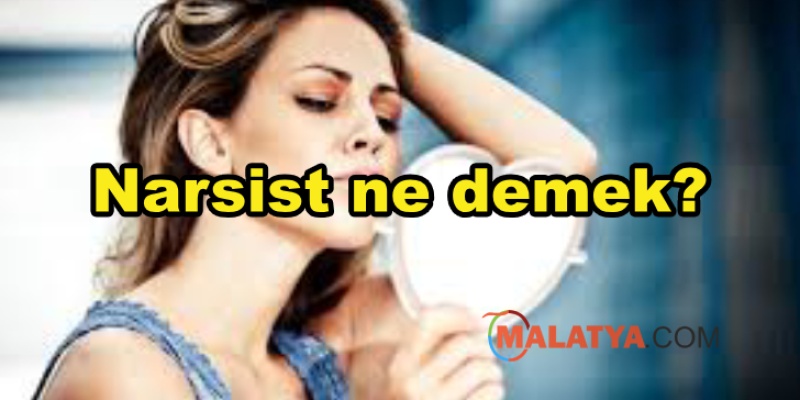 Narsist ne demek?