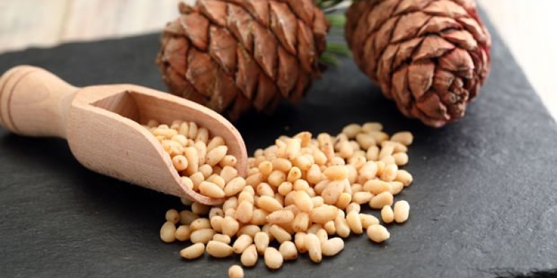 Çam Fıstığının Faydaları Nelerdir?