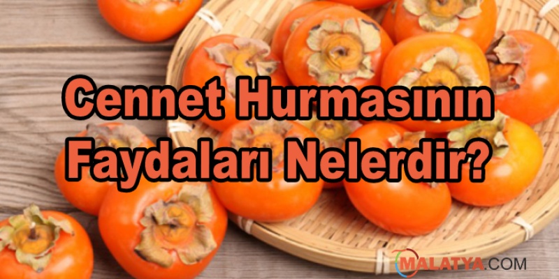 Cennet Hurmasının Faydaları Nelerdir?