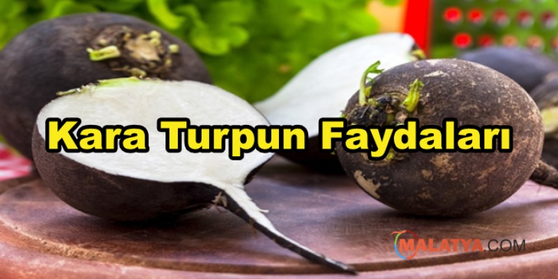 Kara Turpun Faydaları