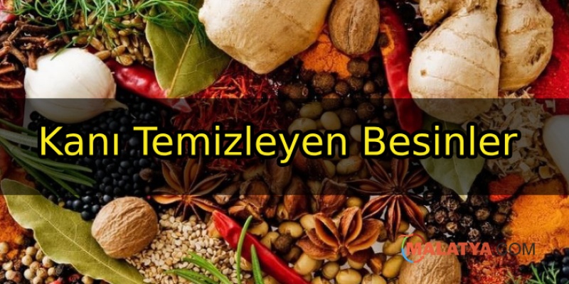 Kanı Temizleyen Besinler