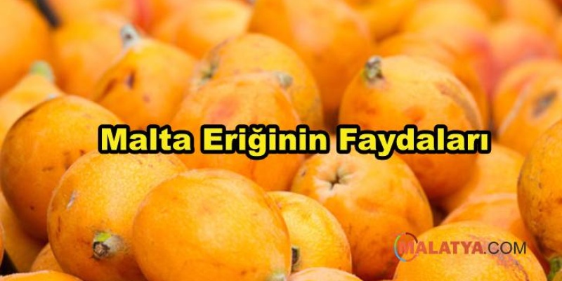 Malta Eriğinin Faydaları