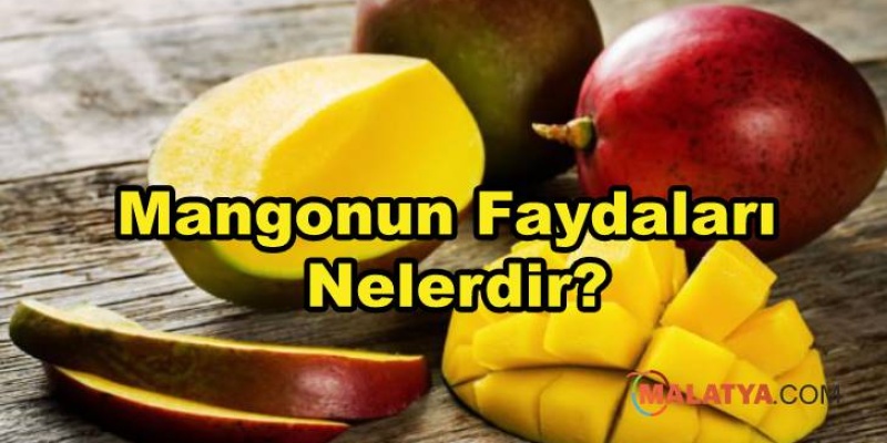 Mangonun Faydaları Nelerdir?