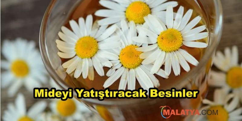 Mideyi Yatıştıracak Besinler